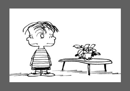 Linus à la double-face