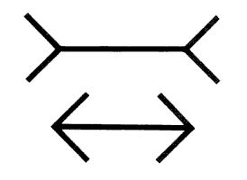 Illusion de Muller-Lyer.