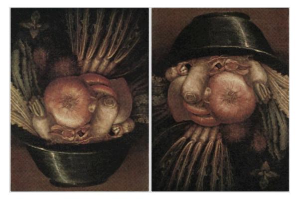 Arcimboldo, "Cuisinier", huile sur toile, XVIème