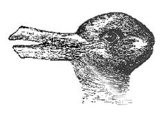 Joseph Jastrow, "Lapin-canard", figure ambigue.