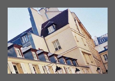 "Chiens assis alignés sur une oblique, vue 1", photo avec alignement équivoque.