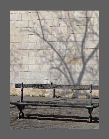 "Arbre et banc", ombres portées ambiguës.