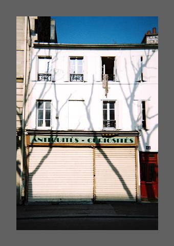 "Ombre d'arbre sur une faﾍade, 2", contact ﾎquivoque du hors-champ.