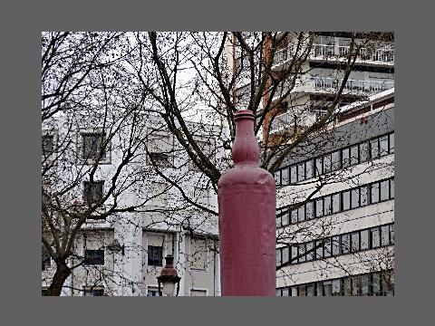 "Bouteille arbre", contiguïté ambiguë.