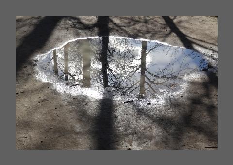 "Flaque aux arbres, 1", reflet du ciel dans l'eau sur la terre.