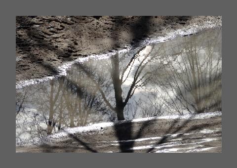 "Flaque aux arbres, 2", reflet du ciel dans l'eau sur la terre.