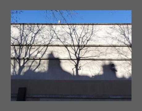 "Toit sur un mur", photo ﾈ contiguﾕtﾎ ambiguﾑ d'ombre.