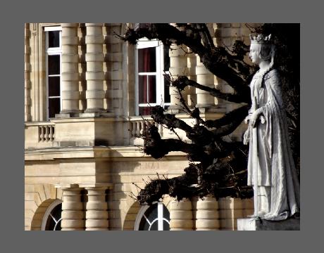 "La reine et ses dragons", photo ambiguë avec paréidolie ou double-image.