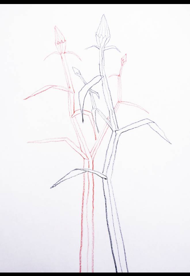 "Bouquet 2", crayons.