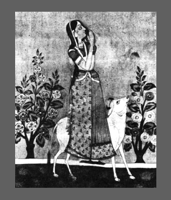 Miniature indienne, "Femme et vache sacrée", royaume de Golconde, XVIIème.