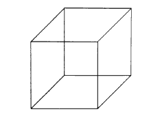 Figure réversible : "Cube de Necke"