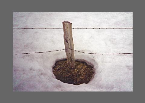 "Poteau et Neige", photo à ambiguﾕté sémantique.