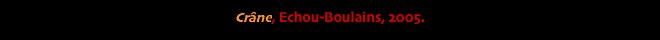 Crâne, Echou-Boulains, 2005.